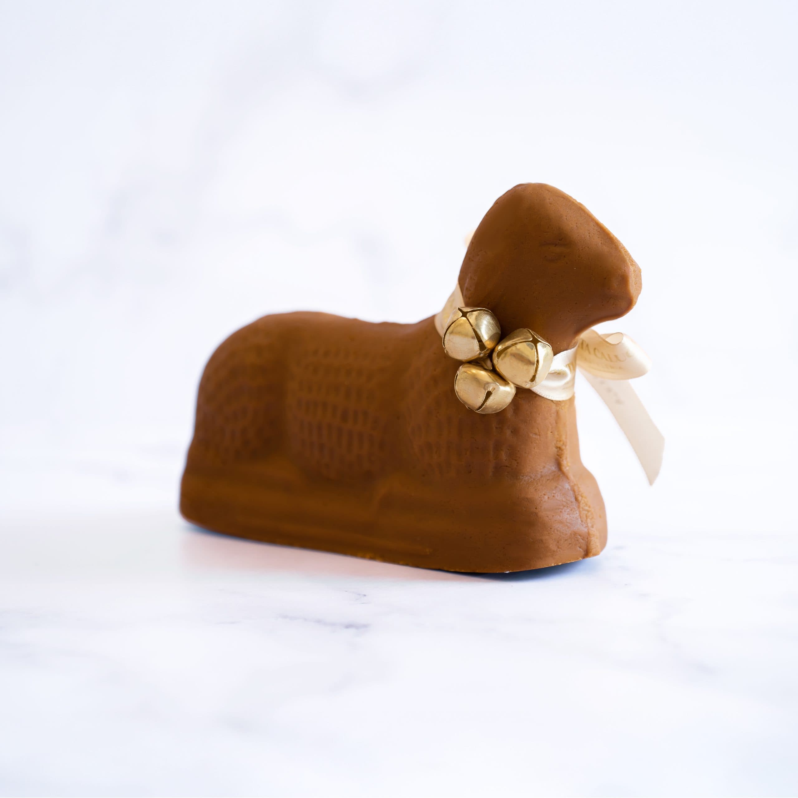 Cordero_Mesa de trabajo 1 copia 6